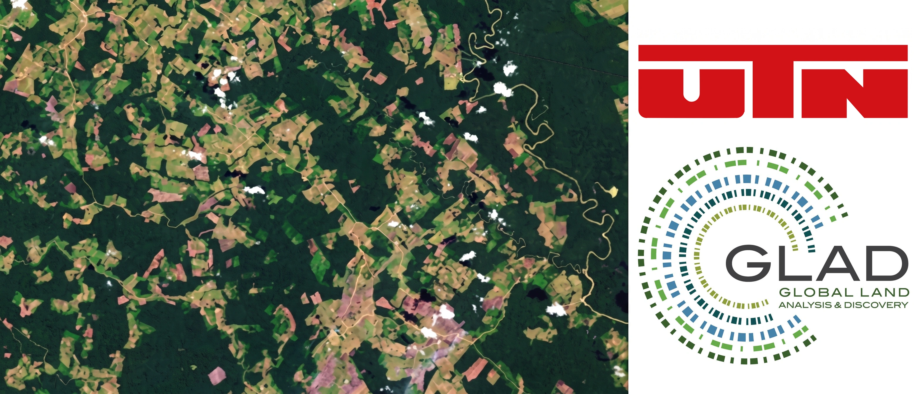 Análisis forestal